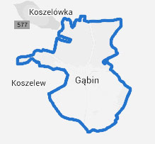 Mapa gminy Gąbin