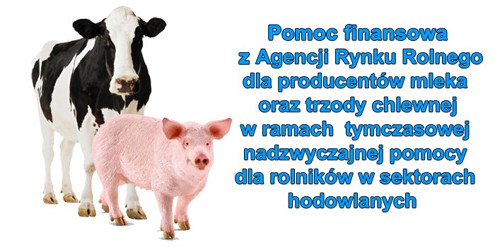 Pomoc finansowa z ARR dla producentów mleka oraz świń